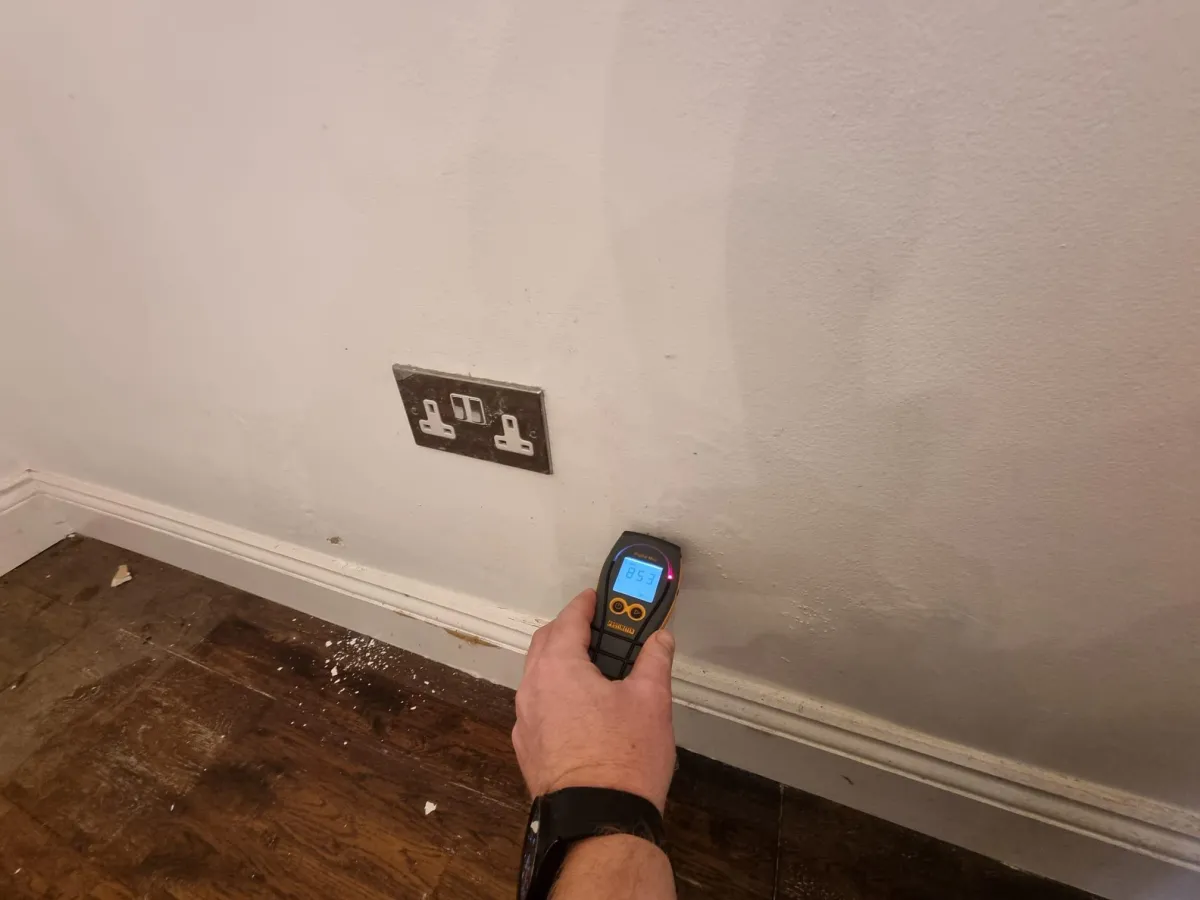 Damp proof detector