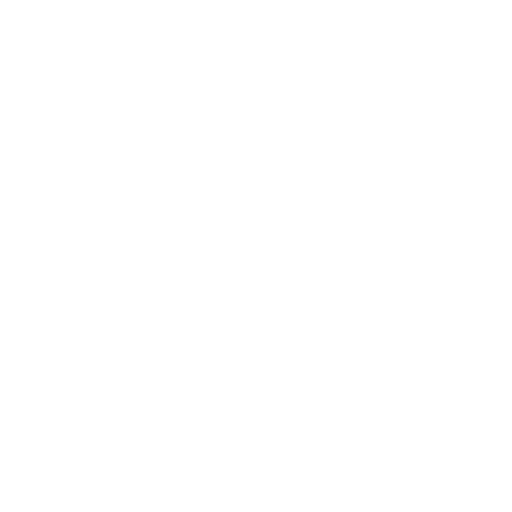 Shield icon